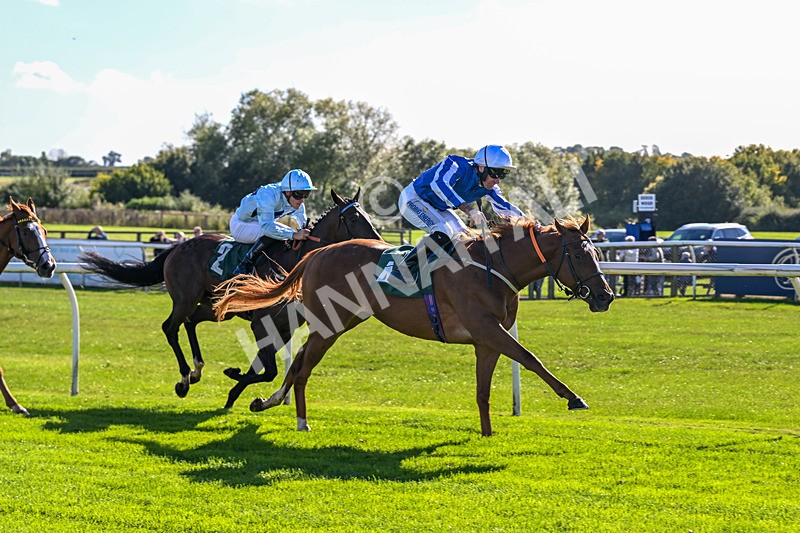300926-Race 2-Gold Key-5993 - Race 2 2.32pm EBF Maiden Stakes