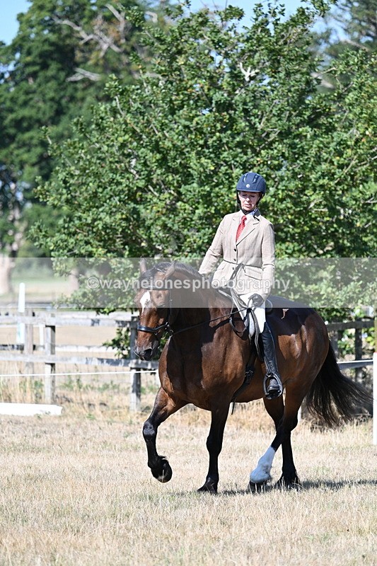 WJ7_3931 - Class 9 Mountain & Moorland Ridden