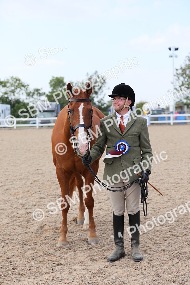 SBM_15853 - Class 312 IH Competition Horse/Pony