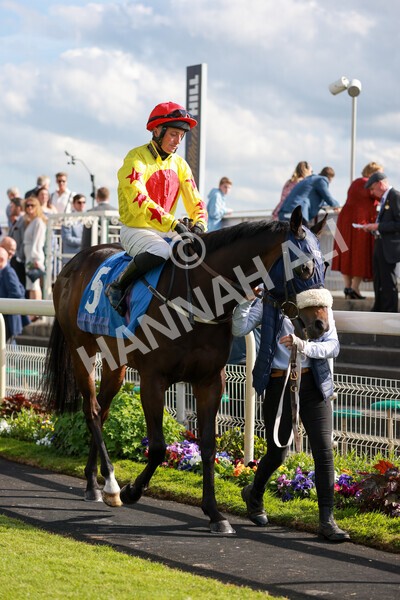 yr21052022r7-8 - Race 7: 5:15pm Reg Bond Always and Forever Stakes