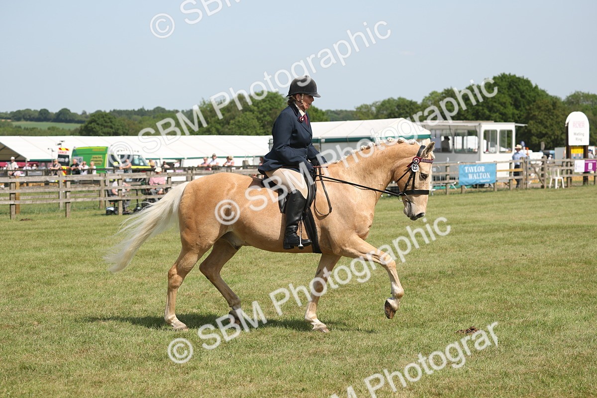 SBM_09190 - Class 31-32 - SSADL Members Challenge