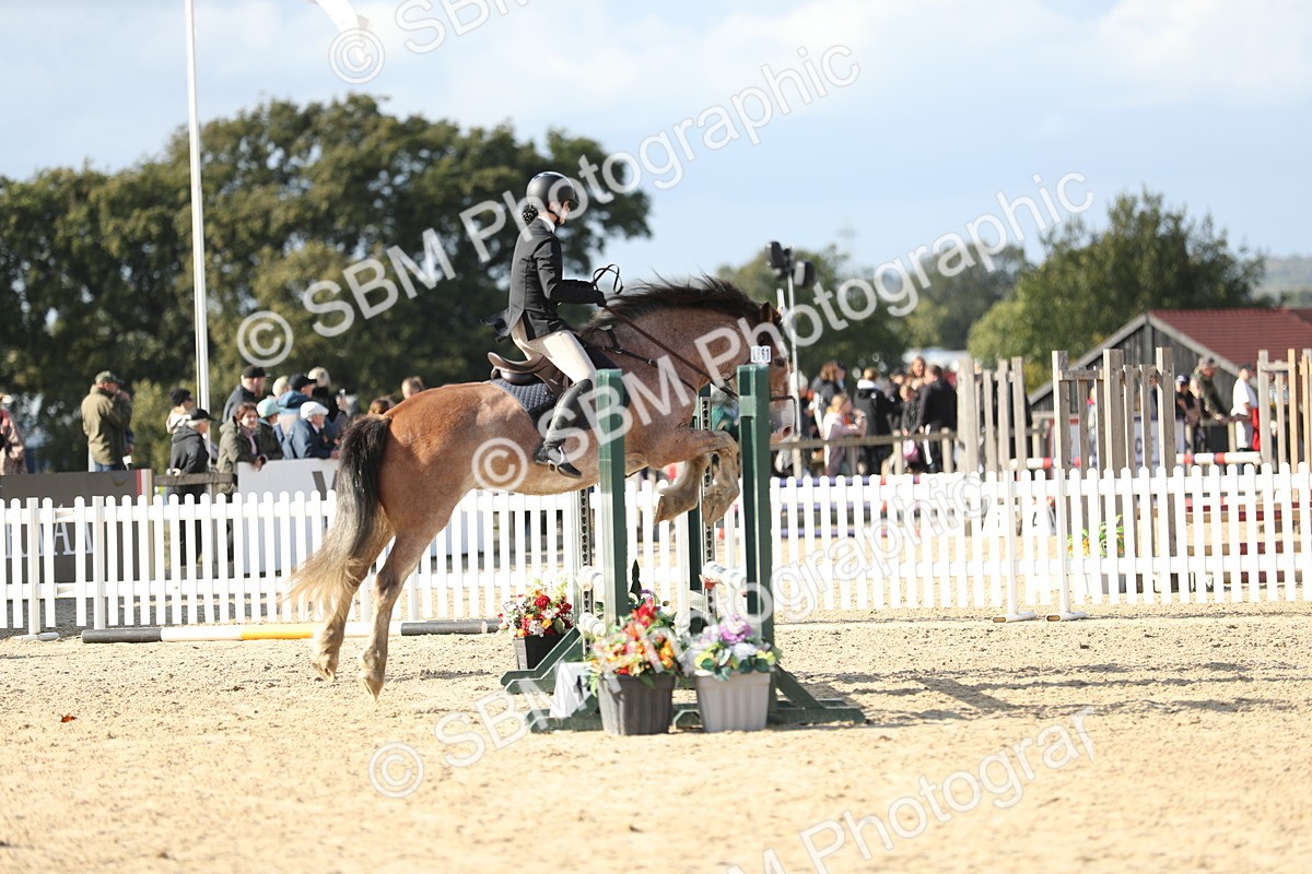 SBM_49598 - J22 - Junior Horse 65cm Championship