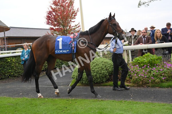 yr09102021r2-1 - Race 2 2.02pm Coral Beaten-By-A-Length Free Bet Rockingham Stakes