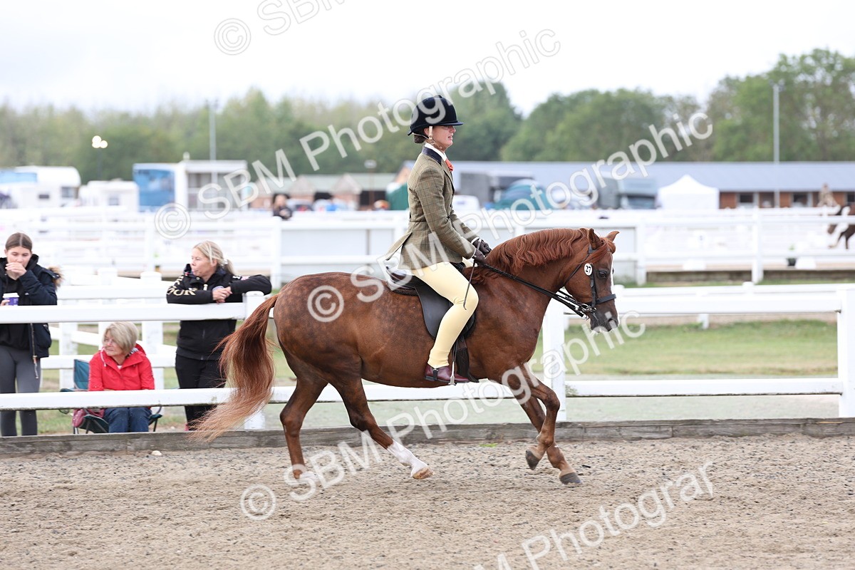 SBM_01486 - Class 52 - Ridden Veteran