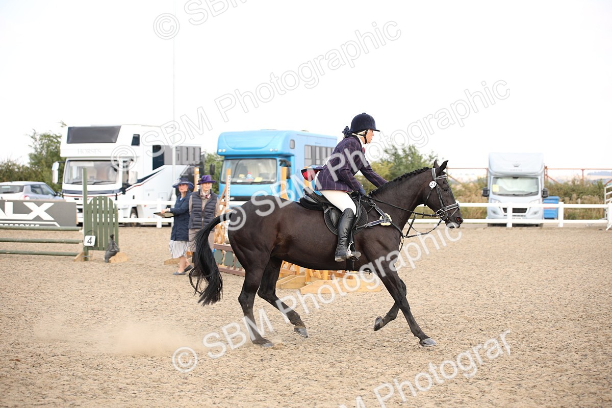 SBM_16016 - Class 408b - Working Veteran 70cm (20+)