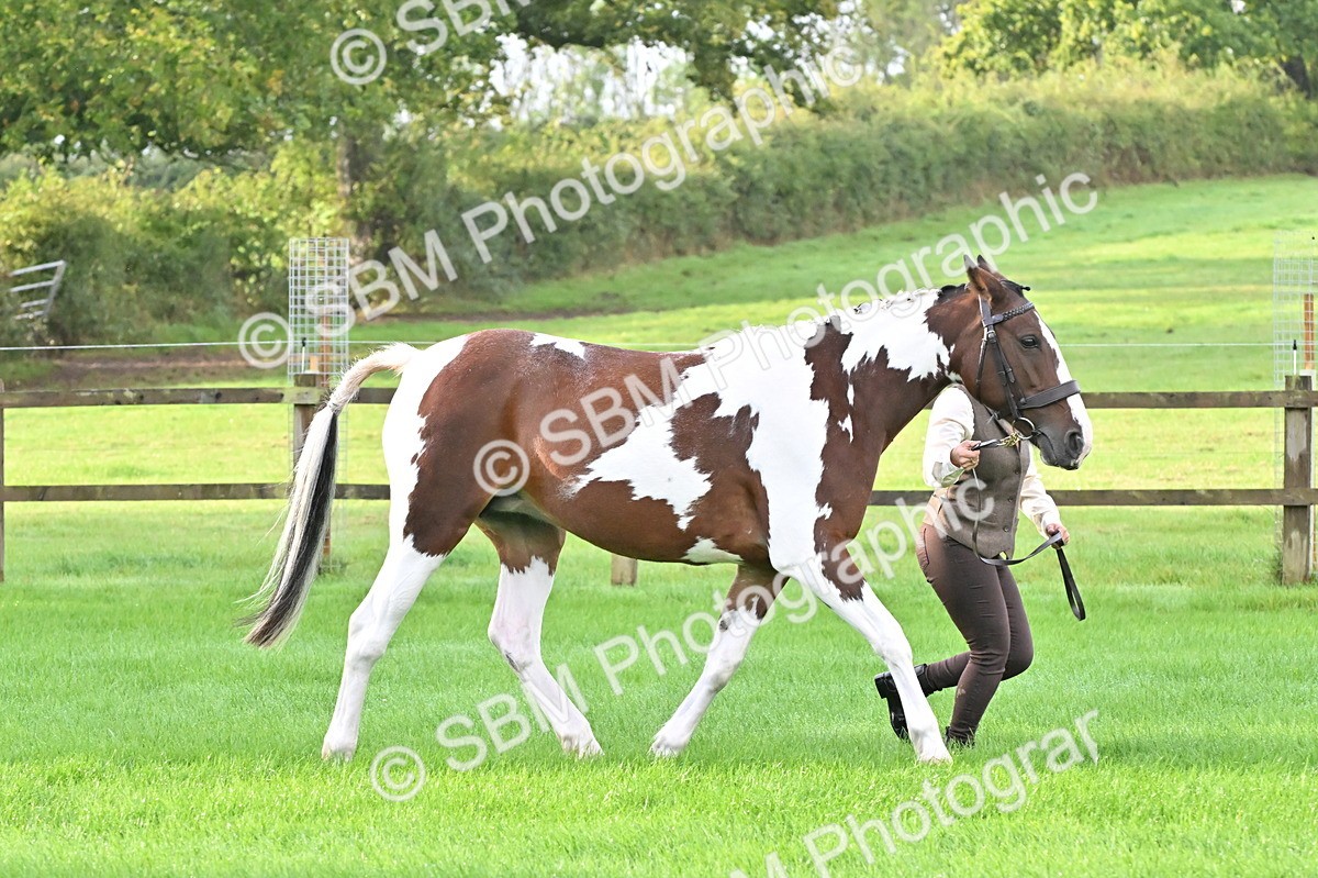 SBM_32622 - S15 - Top Turnout In Hand