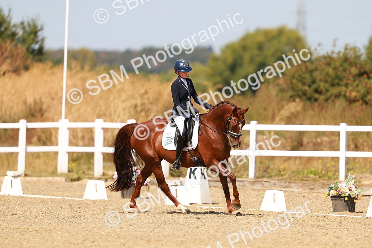SBM_018318 - Class 9 - N5 Bronze 11.57.13.07