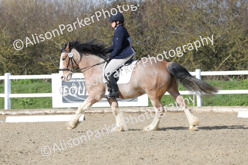 20260314-5008 - CT6 - Elementary 1