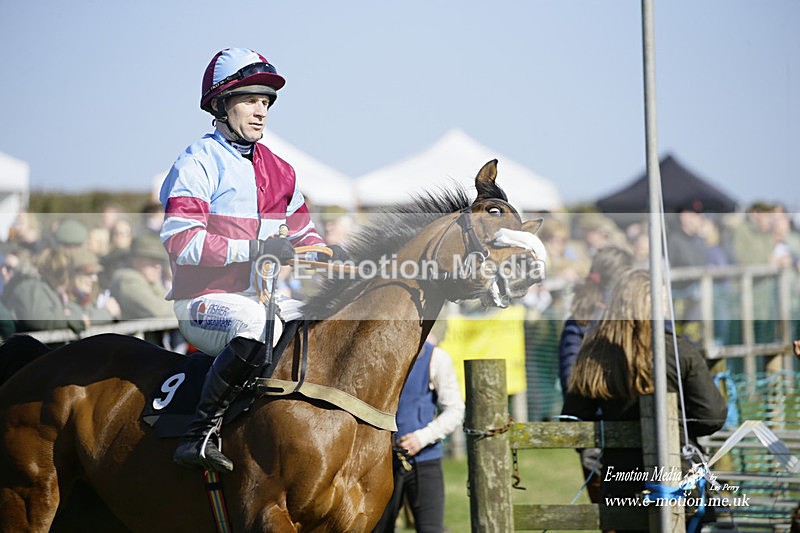 PtP 190322 470 - Wilton Hunt PtP Milborne St Andrew 19/03/22