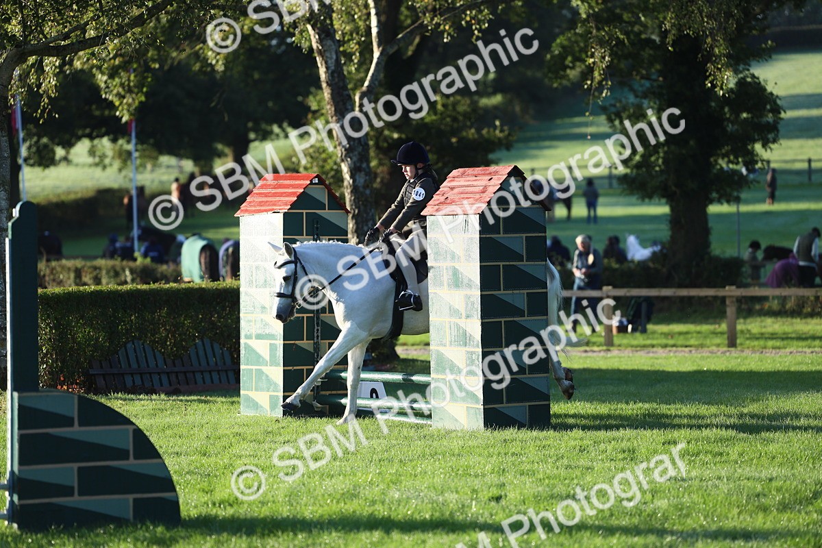 SBM_31705 - S28 - Nursery Stakes Working Hunter Pony