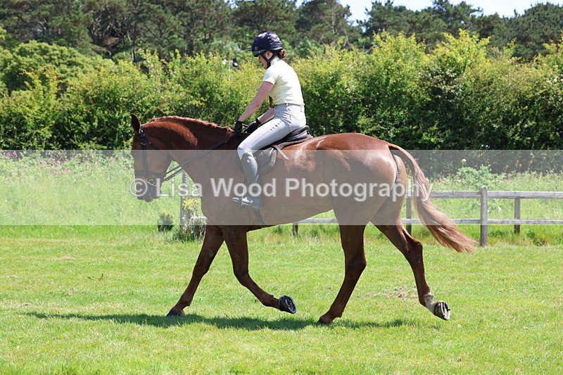 3E7A8079 - Working Hunter Championship