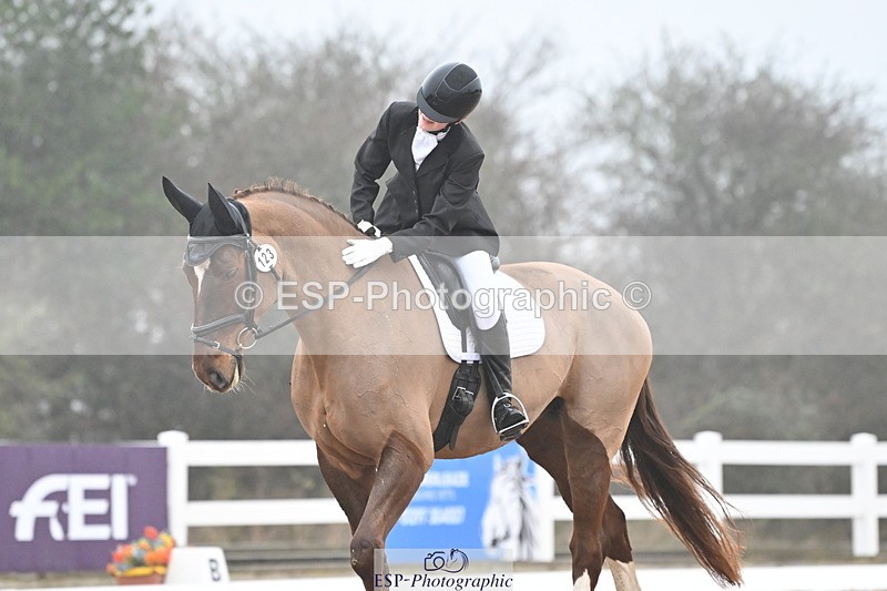 240217A-095525-00489 - 123-Daisy.Hedges-Felicia.v