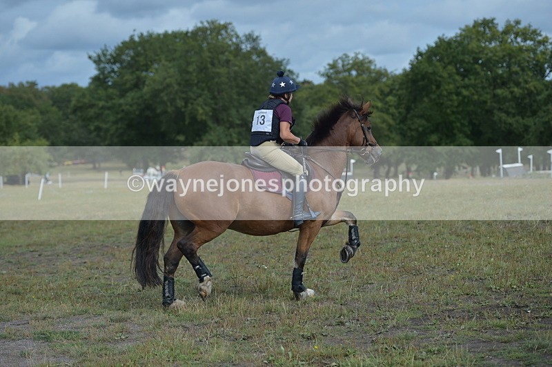 NGP_1164 - XC Time 10:38 to 10:51