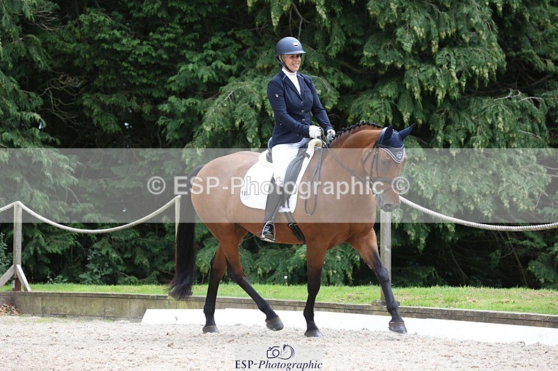 230812-150217-05037 - Cls 5 Novice Bronze 15.00 to End