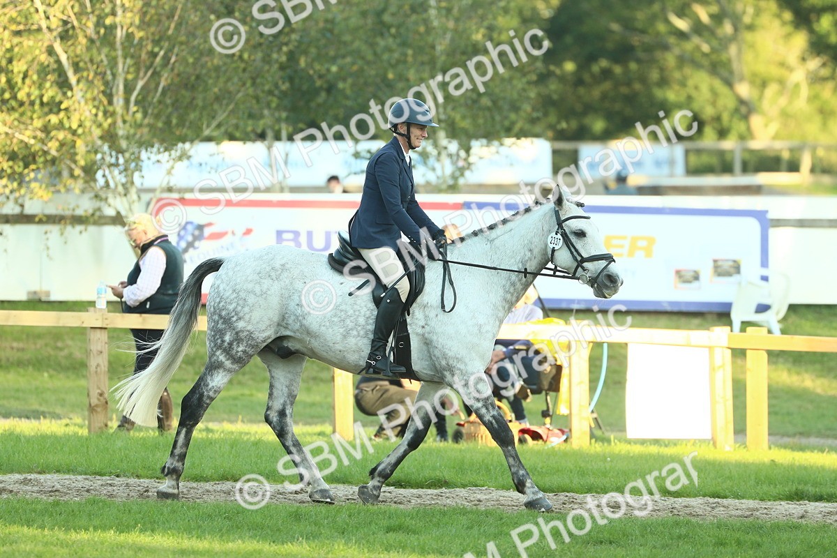 SBM_55590 - S14 - Riding Club Horse