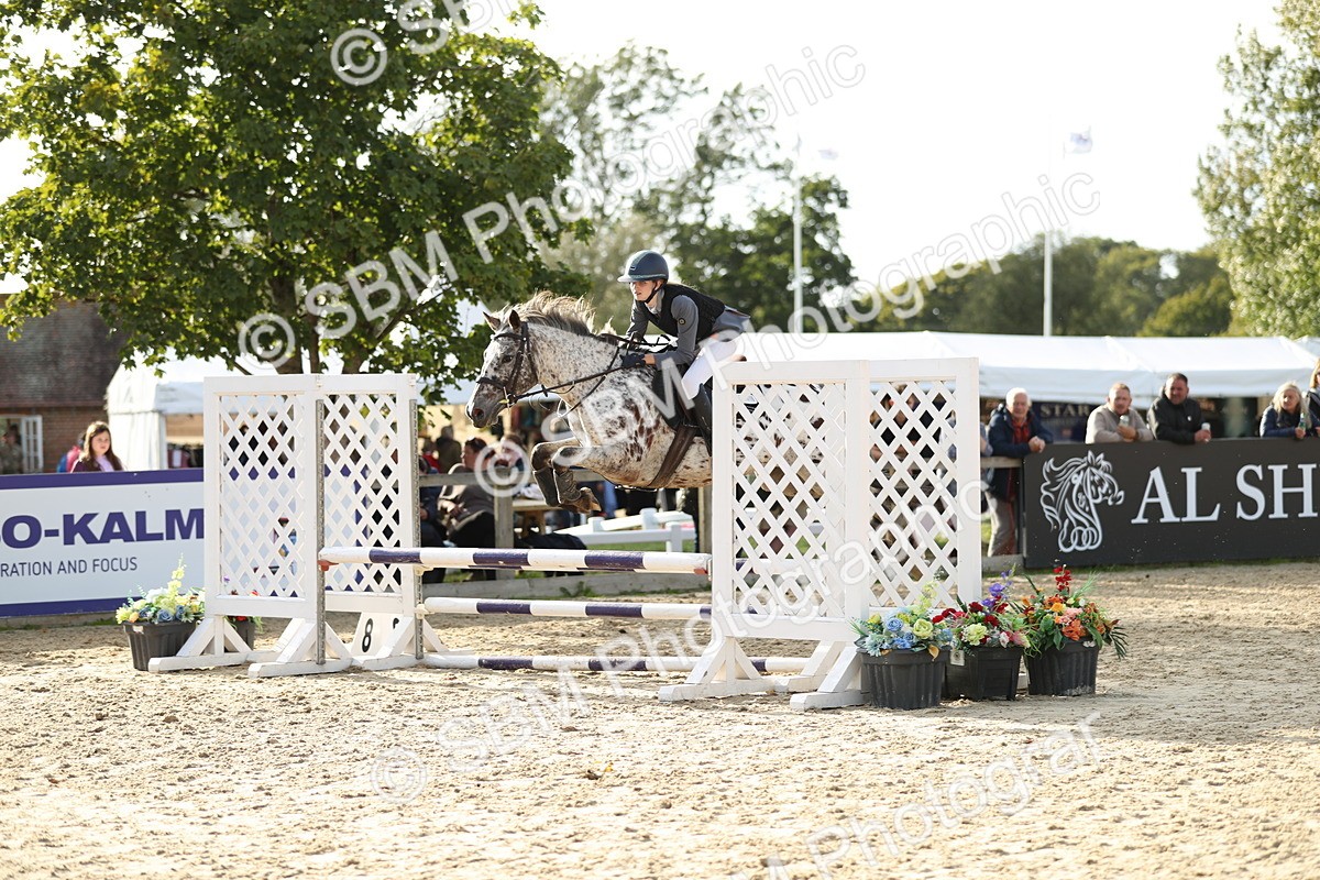 SBM_50773 - J23 - Junior Horse 70cm Championship