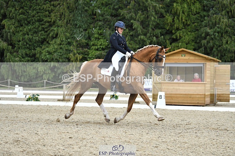 230812-143949-04754 - Cls 7 FEI PSG Bronze