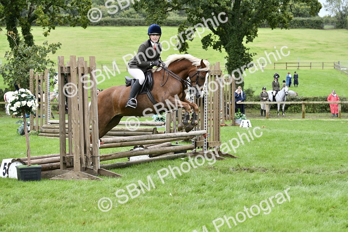 SBM_41371 - S32 - Mountain & Moorland Working Hunter Pony