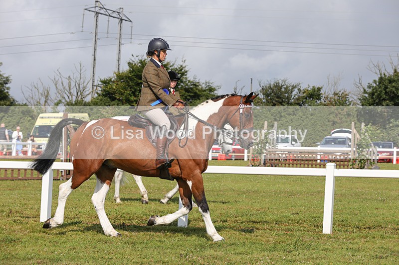 1X9A3475 - Skewbald and Piebald Ridden Championship