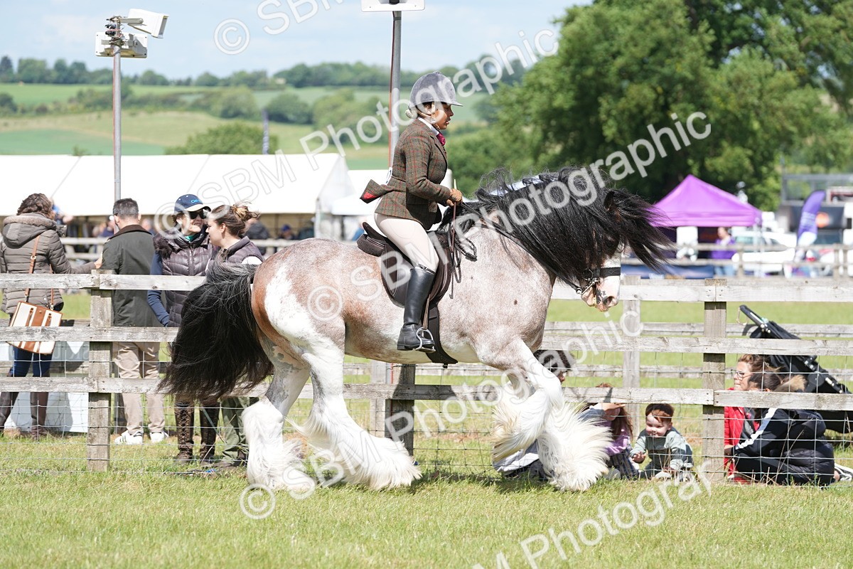 SBM_17124 - Class 107-108 - LIHS BSPS Performance Coloured Horse Pony