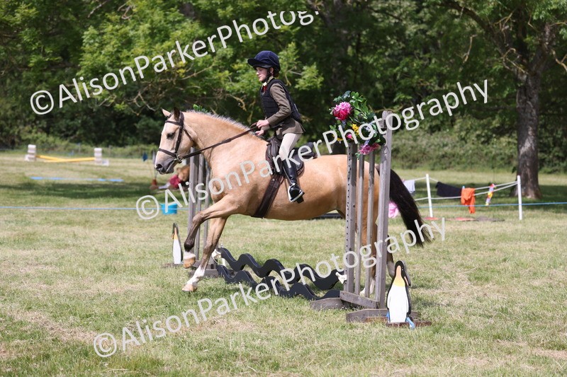 20260614-1785 - Class 21 - Novice Working Hunter Pony
