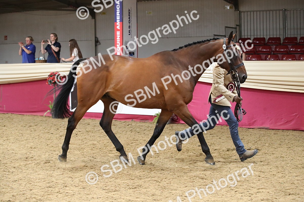 SBM_05826 - Class 9R - Regional IH Pre-Vet