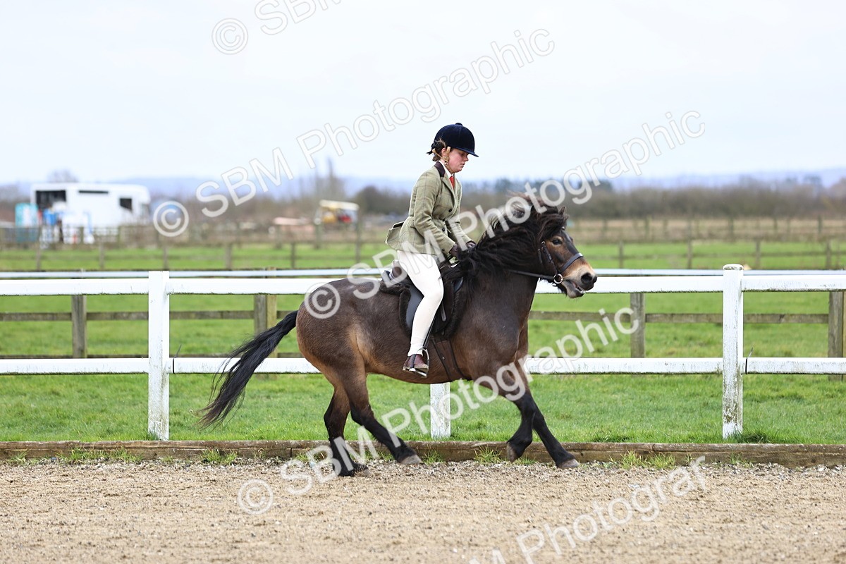 SBM_006755 - Class 29 - 30 - M&M Pure Novice Small-Large Breeds