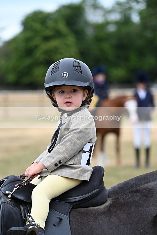 WJ7_9851 - Class 1 Lead Rein Pony