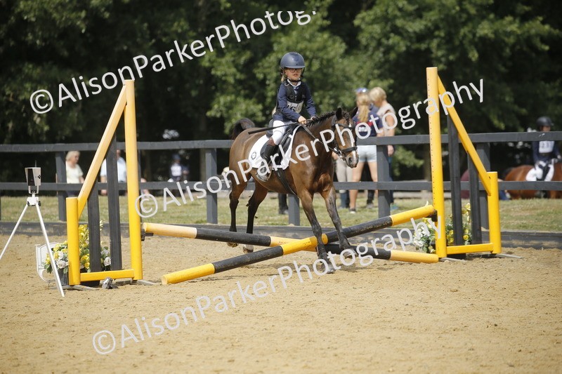 20250622-4108 - 50cm