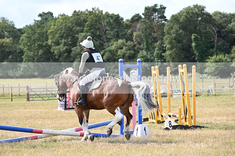 WJ6_8849 - 40cm Time 10:57 to 11:07