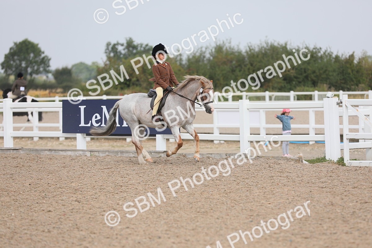 SBM_12688 - Class 307 Ridden Coloured Pony