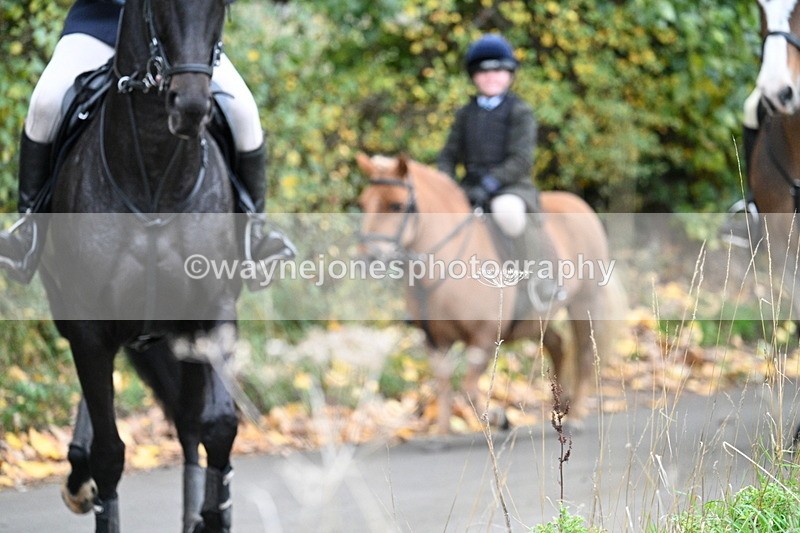 WJ7_7385 - Walk Home..