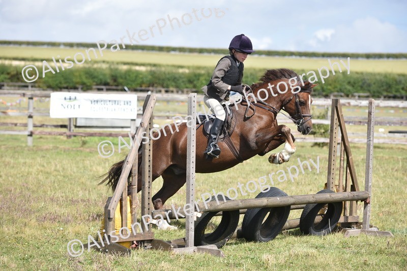 20250831-3922 - Class 11 - Working Hunter Pony 13hh and Under