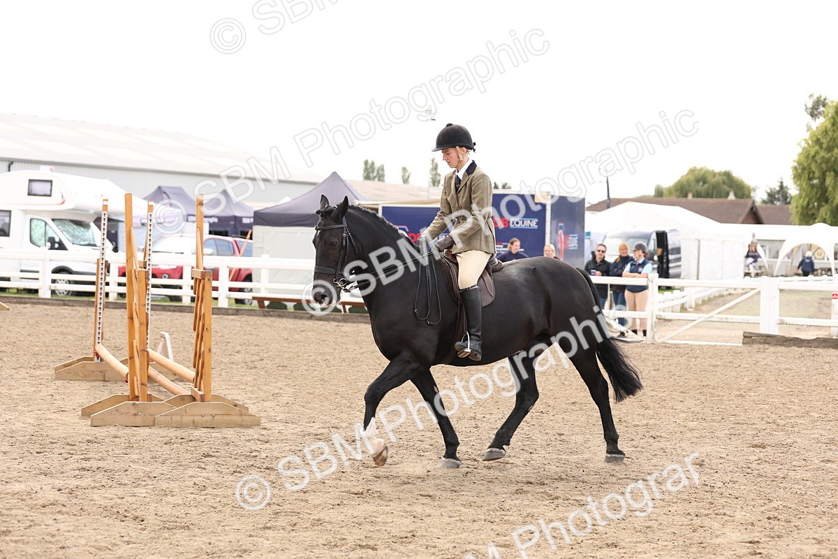 SBM_04222 - Class 54 - Riding Club Horse/Pony