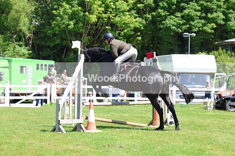 3E7A7012 - Class 30: Novice Working Hunter