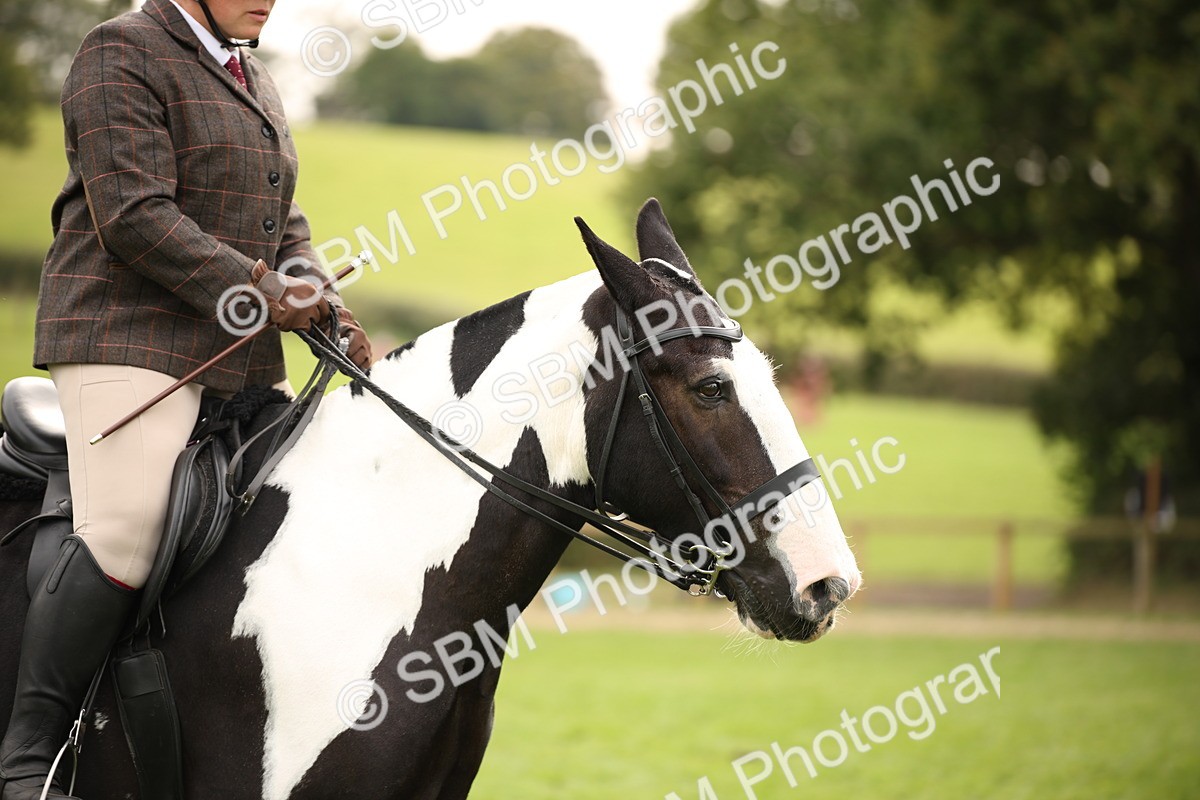 SBM_72375 - S67 - Show Cob Ridden
