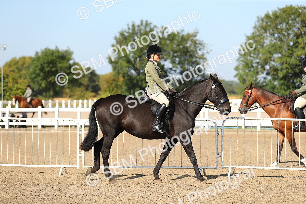 SBM_02168 - Class 43 Ridden Competition Horse/Pony
