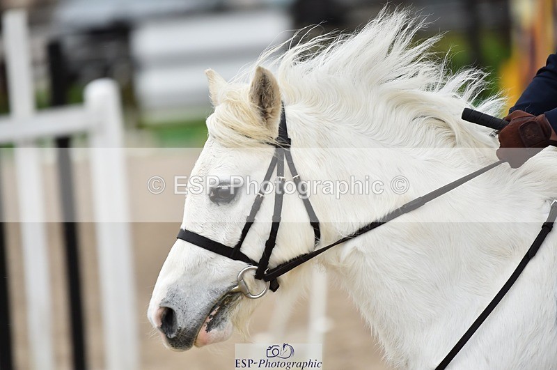 231210-112346-00395 - Cls 3 50cm