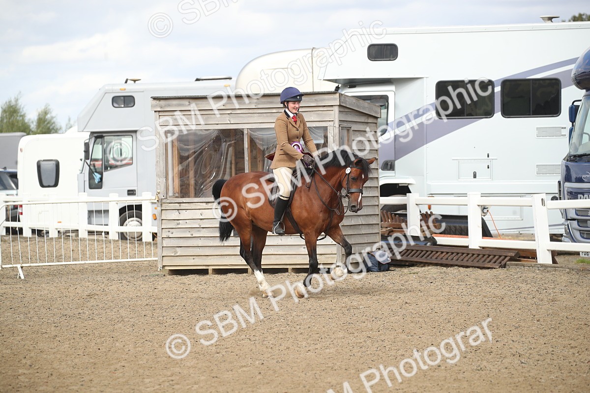 SBM_14620 - Class 505a - M&M Working Veteran - 50cm (15-19)