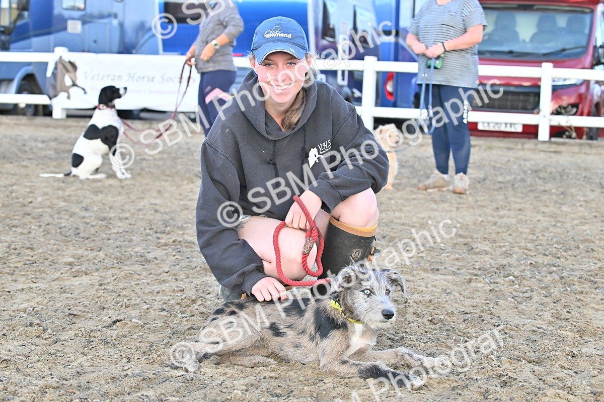 SBM_09610 - Lorry Dogs