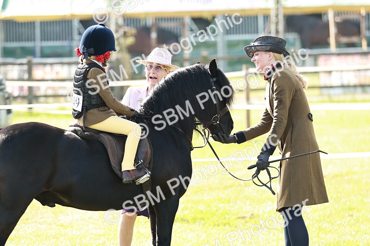 SBM_11266 - Class 106-107 - BSPS LIHS Working Sports Pony