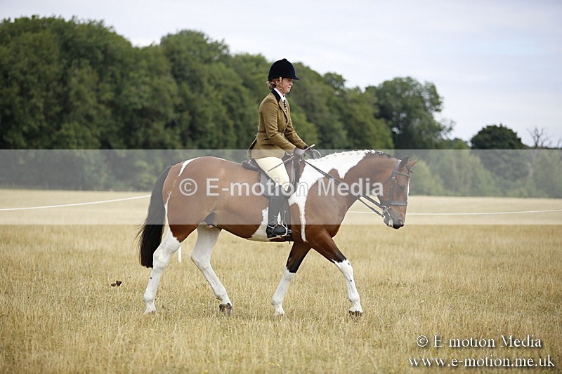 _C7A9466 - BVRC Show 2018 Ring 1