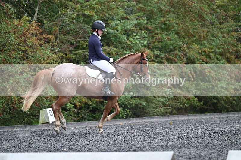 WJ7_3742 - Time 11:04 to 11:38