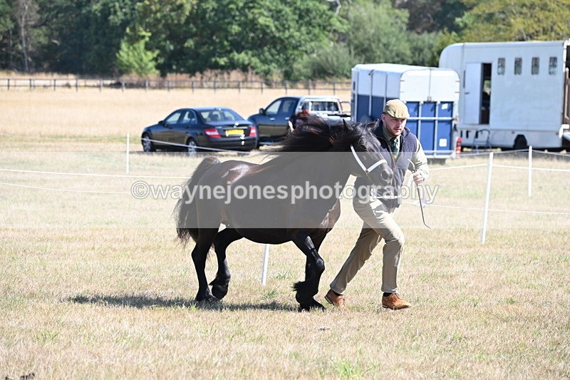 WJ6_4657 - Class 17 Mountain & Moorland