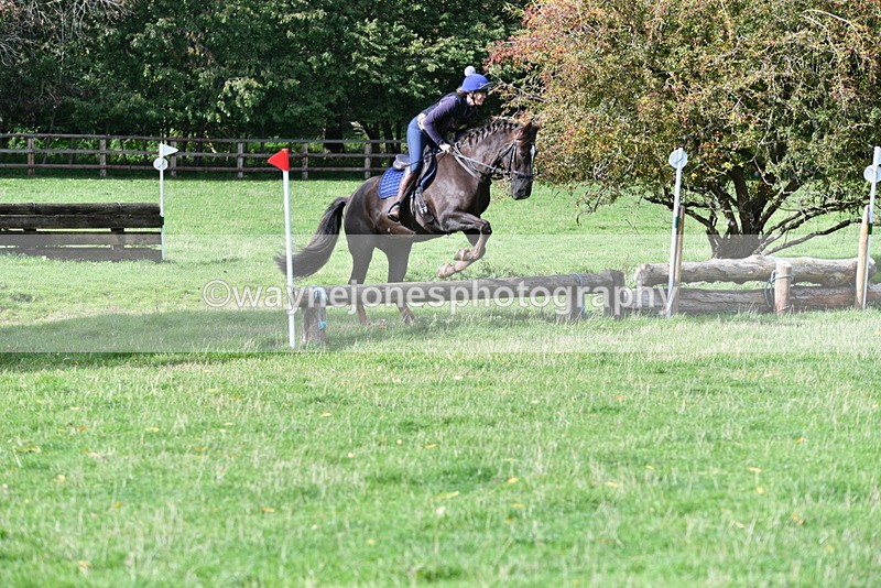 WJ5_7964 - Time 10:31 to 12:01