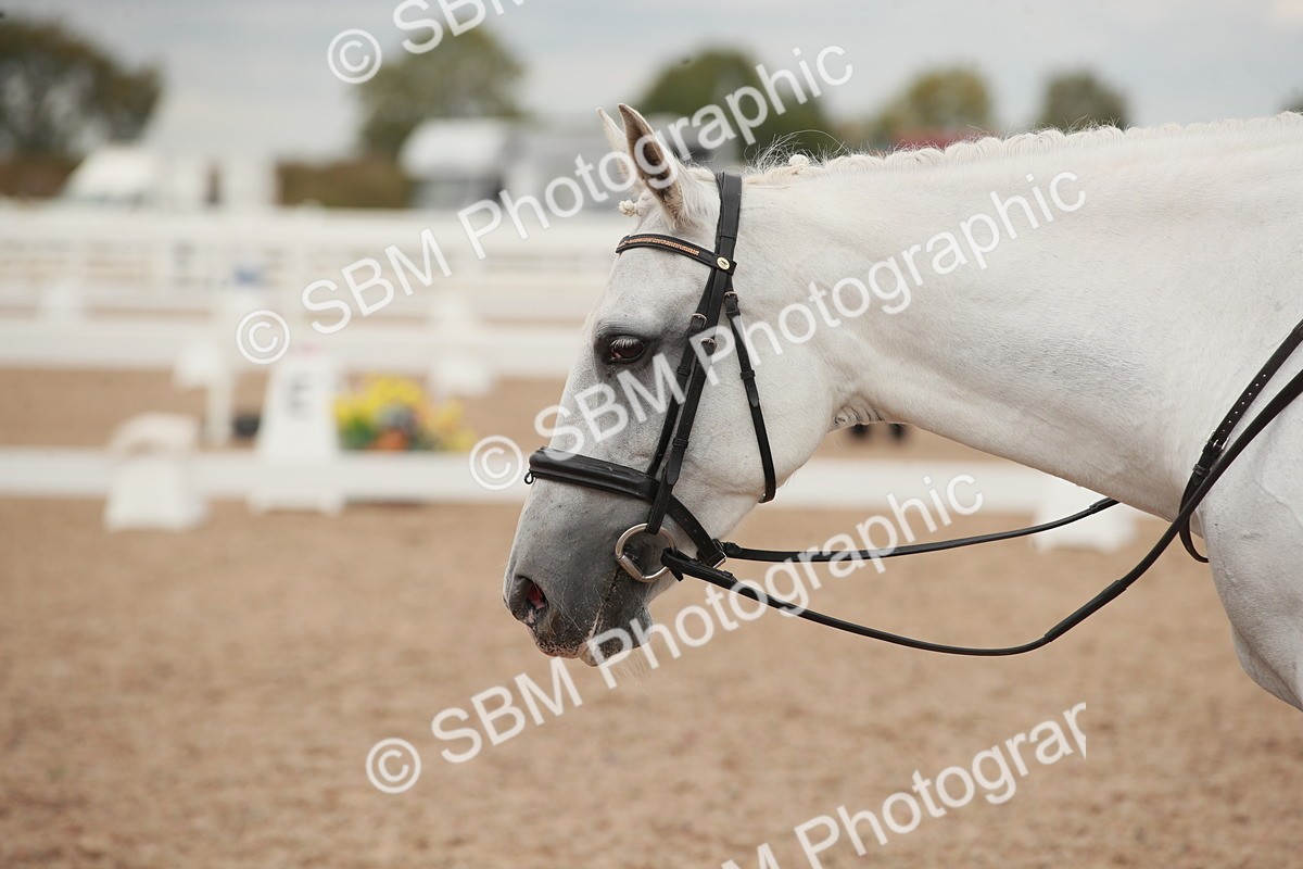 SBM_06047 - Class 32 - Novice 1