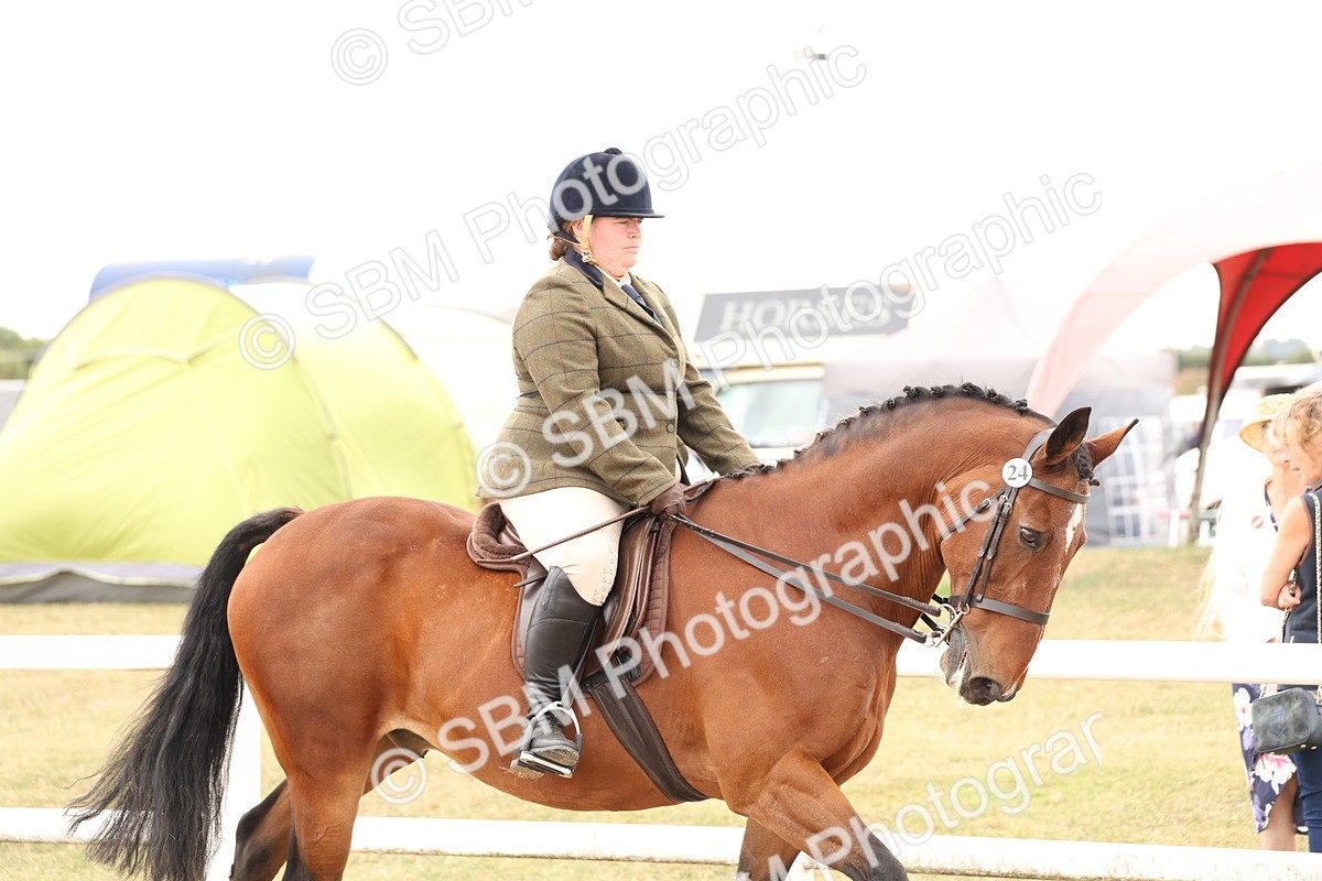 SBM_16461 - Class 212 - Ridden Hunter - Small