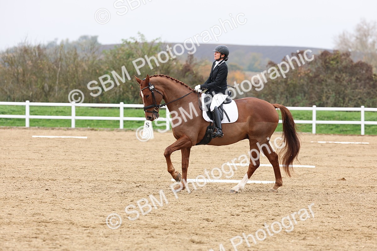 SBM_008431 - Class 11 - Medium 5