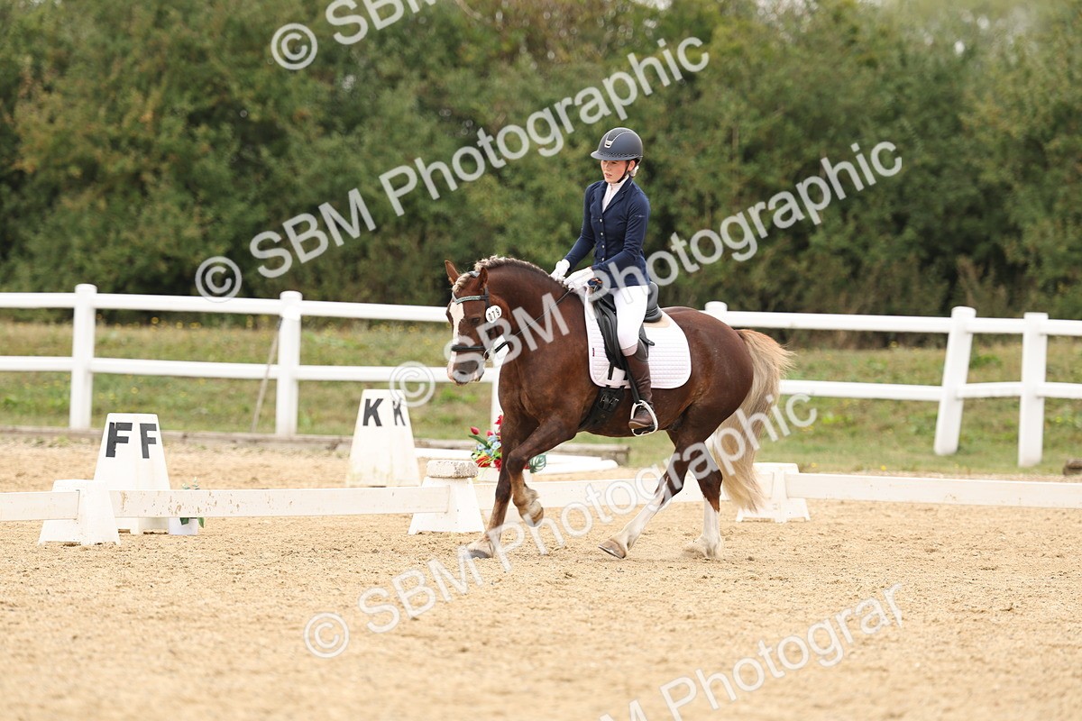 SBM_01055 - Class 8 - Novice 27 Champs