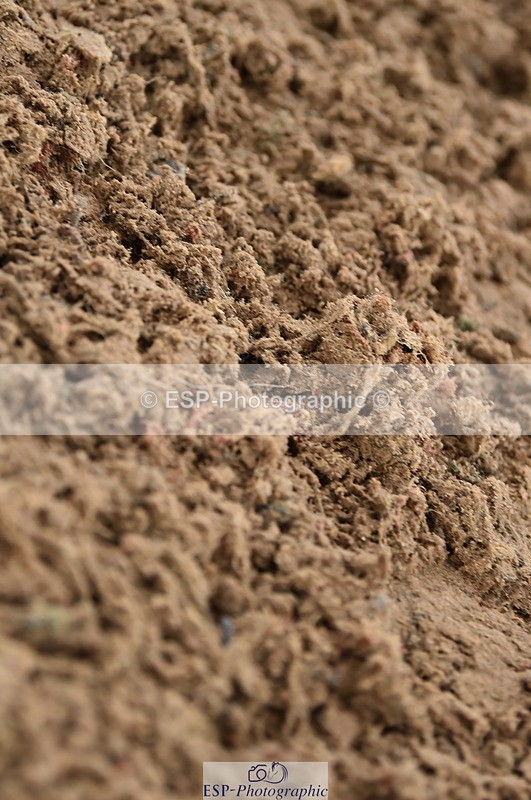 231029A-132124-03492 - Children on Horses 1.05m & 1.10m